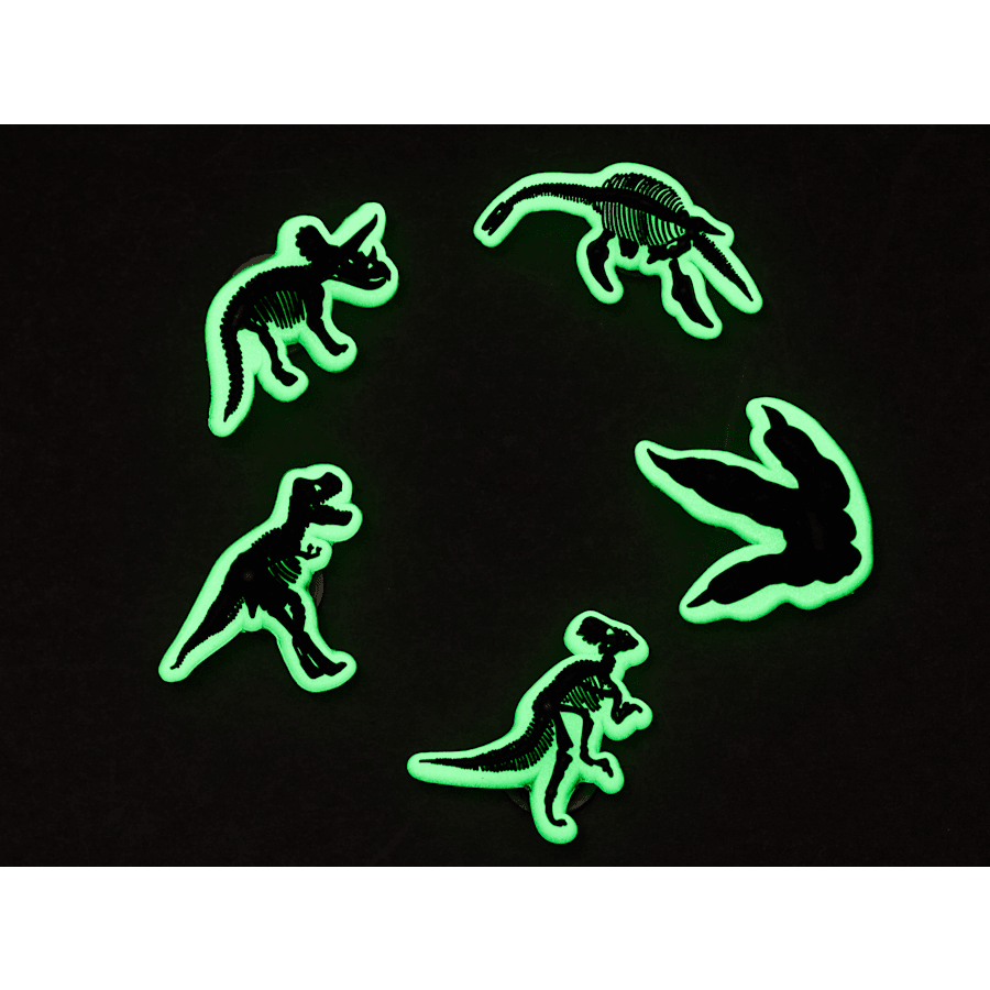 Glow In The Dark Dino 5 Pack Jibbitz Shoe Charm | Crocs Deals
