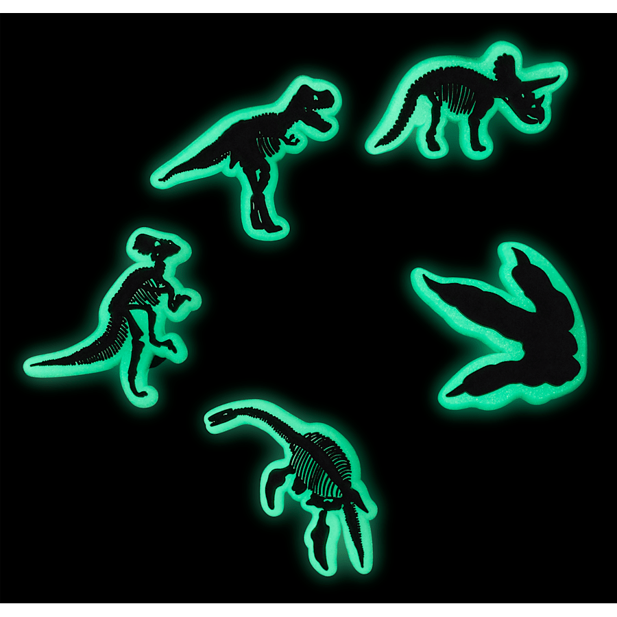 Glow In The Dark Dino 5 Pack Jibbitz Shoe Charm | Crocs Deals