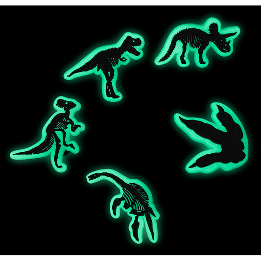 Glow In The Dark Dino 5 Pack Jibbitz Shoe Charm | Crocs Deals