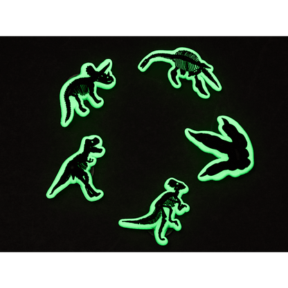 Glow In The Dark Dino 5 Pack Jibbitz Shoe Charm | Crocs Deals