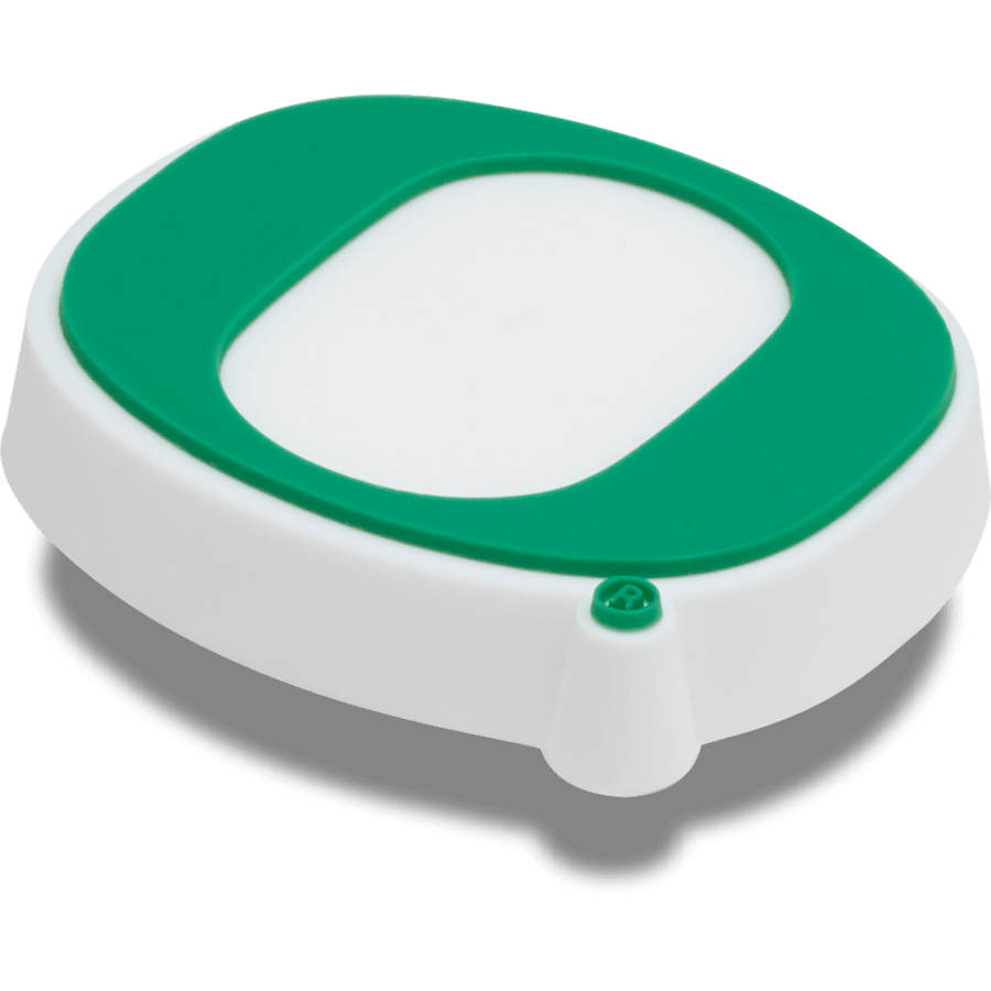 University of Oregon Jibbitz™ charms | Crocs Customer Favorite