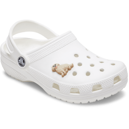 b'Golden Retriever Puppy Jibbitz Shoe Charm' | Crocs Smart Buy
