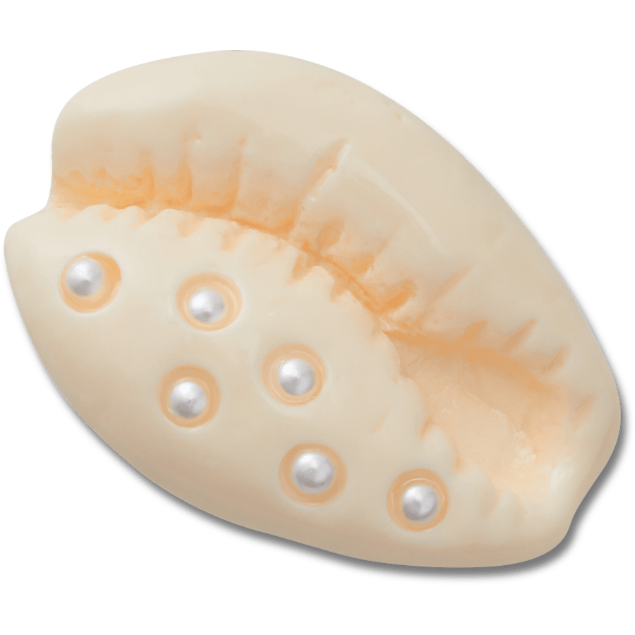 Pearl Puka Shell Jibbitz™ charms | Crocs Classic