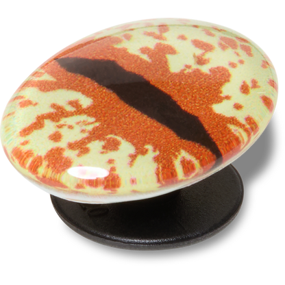 Hazel Animal Eye Jibbitz™ charms | Crocs Latest