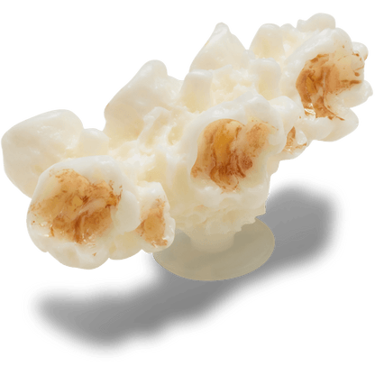 Realistic Popcorn 2 Jibbitz™ charms | Crocs New