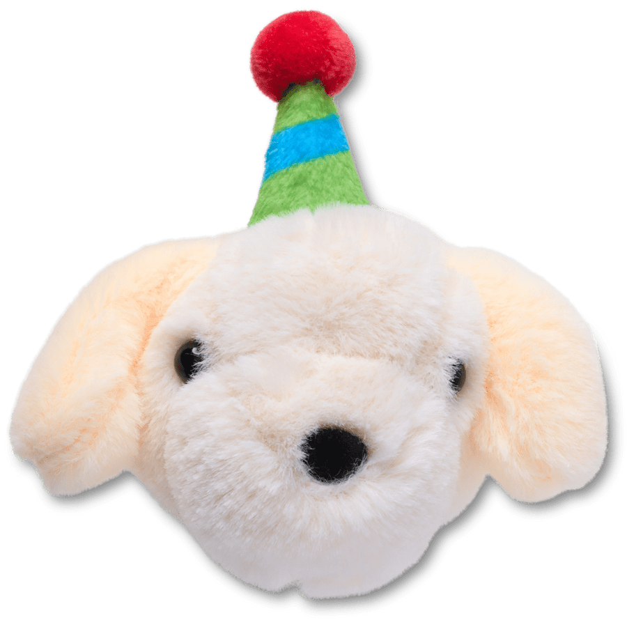 Record Your Own Sound Birthday Jibbitz™ charms | Crocs Customer Favorite