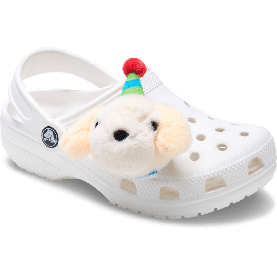 Record Your Own Sound Birthday Jibbitz™ charms | Crocs Customer Favorite