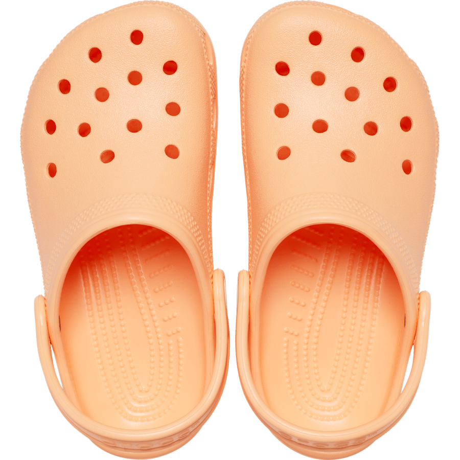 Toddler Classic Clog | Crocs Popular